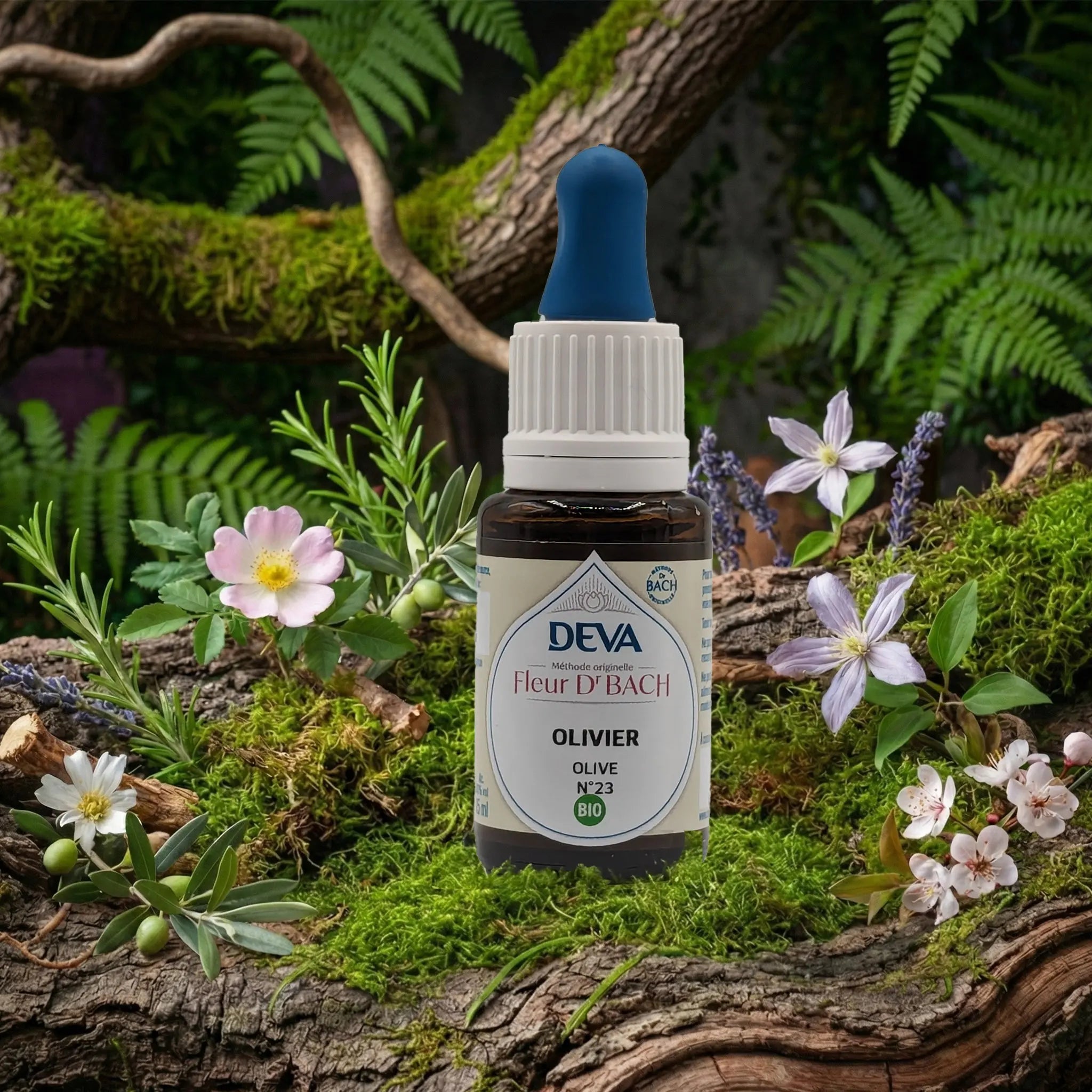 Flacon compte-gouttes Deva - Fleur du Dr Bach - Olivier N.23 sur un lit de mousse et plantes sauvages