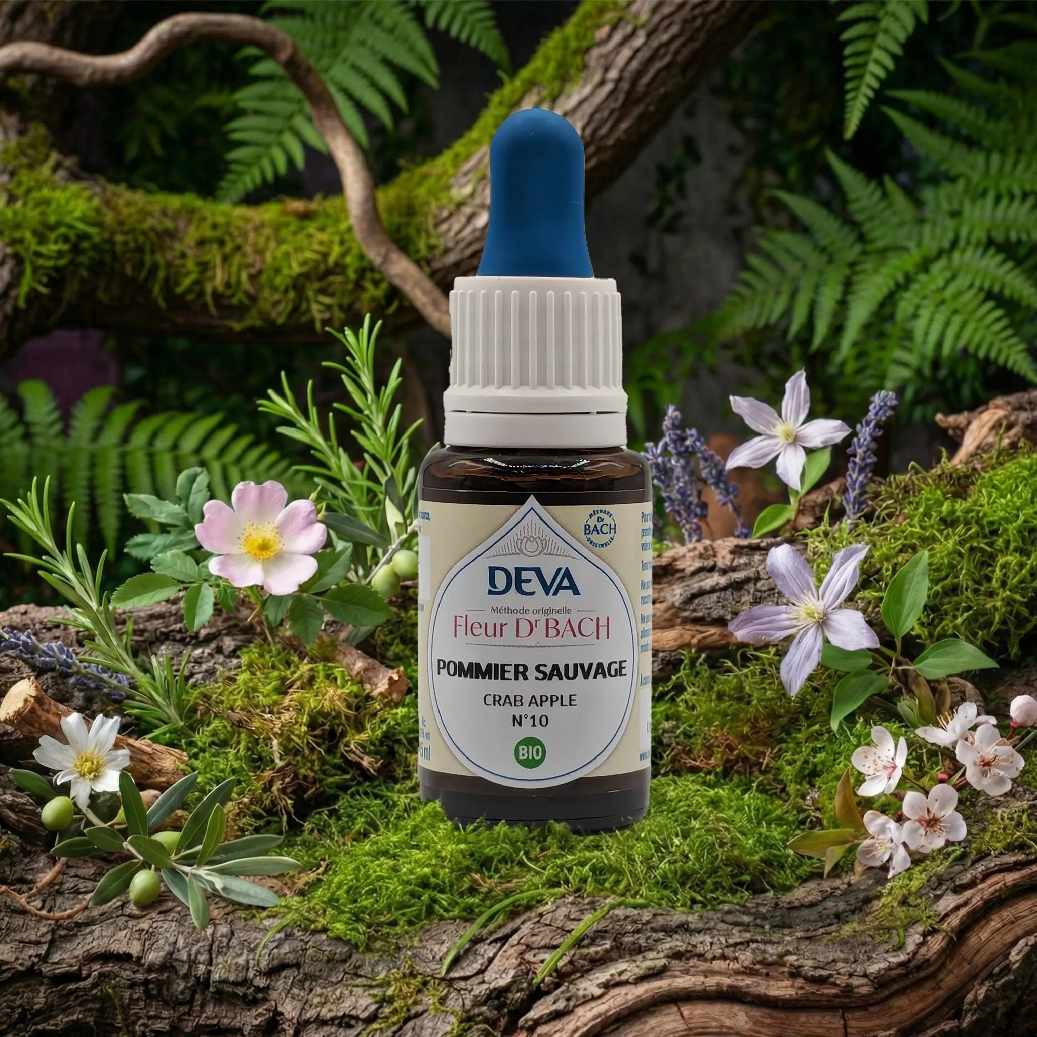 Flacon compte-gouttes Deva - Fleur du Dr Bach - Pommier Sauvage N.10 sur un lit de mousse et plantes sauvages