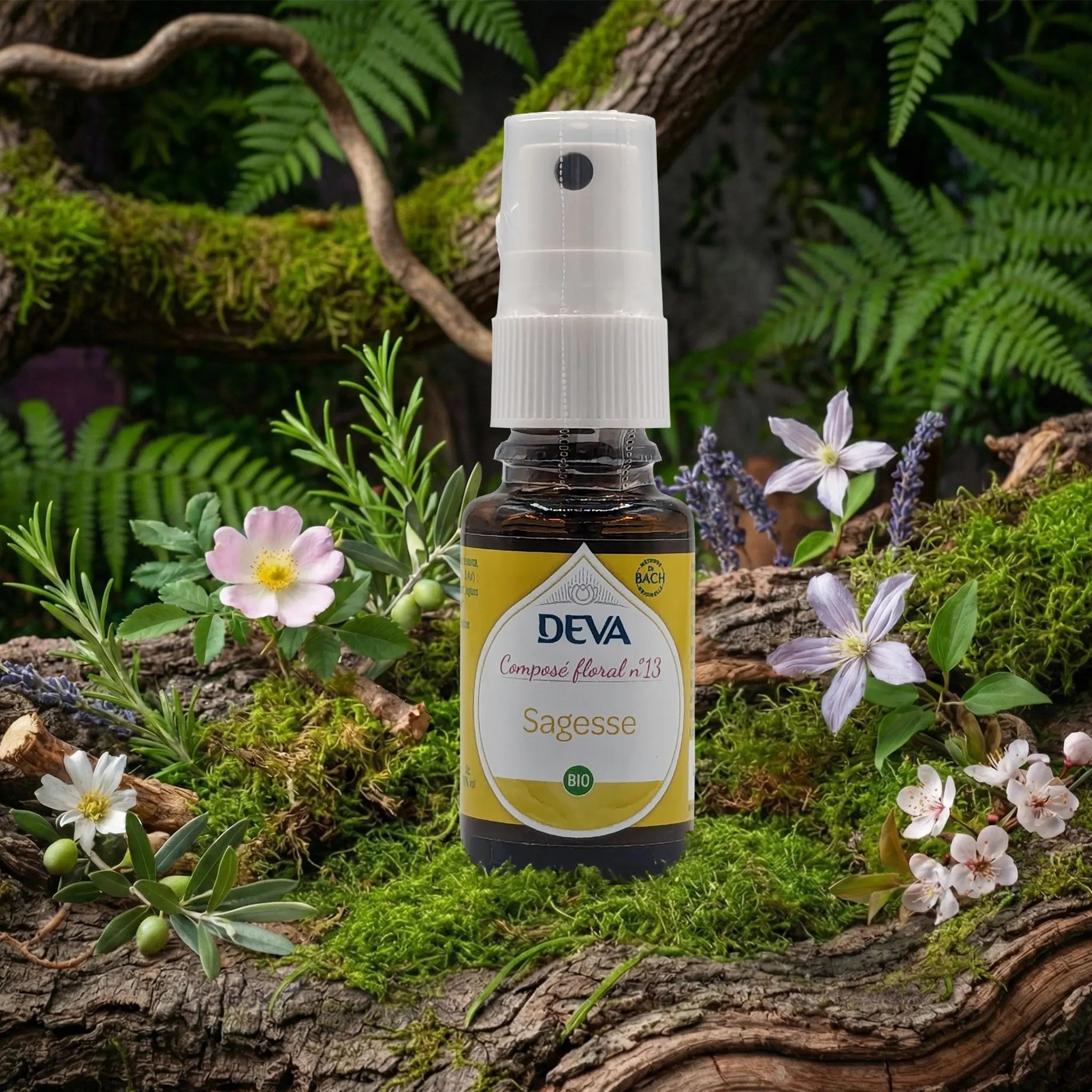 Flacon spray Deva - Composé Floral Dr Bach - Sagesse N.13 sur un lit de mousse et plantes sauvages.