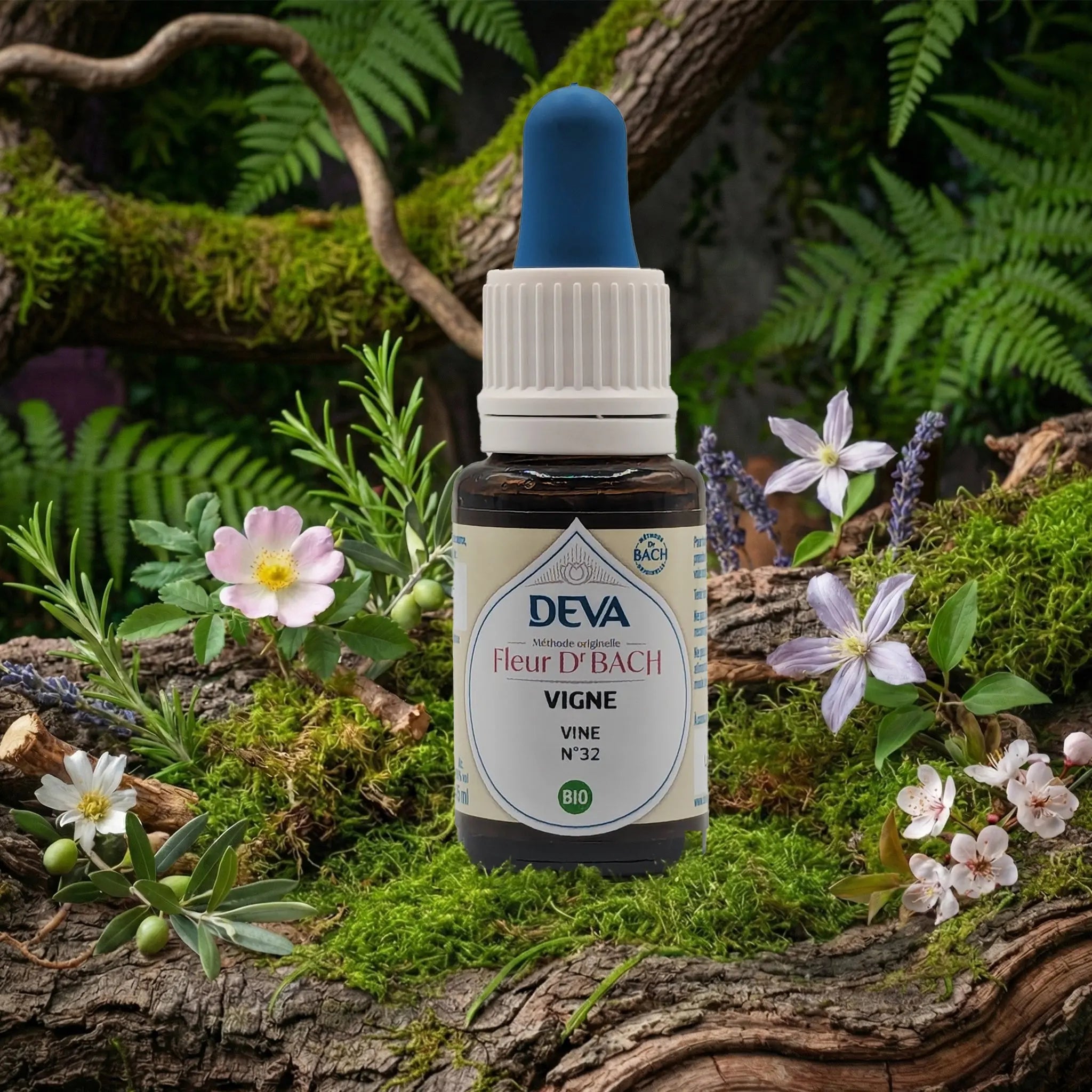 Flacon compte-gouttes Deva - Fleur du Dr Bach - Vigne N.32 sur un lit de mousse et plantes sauvages