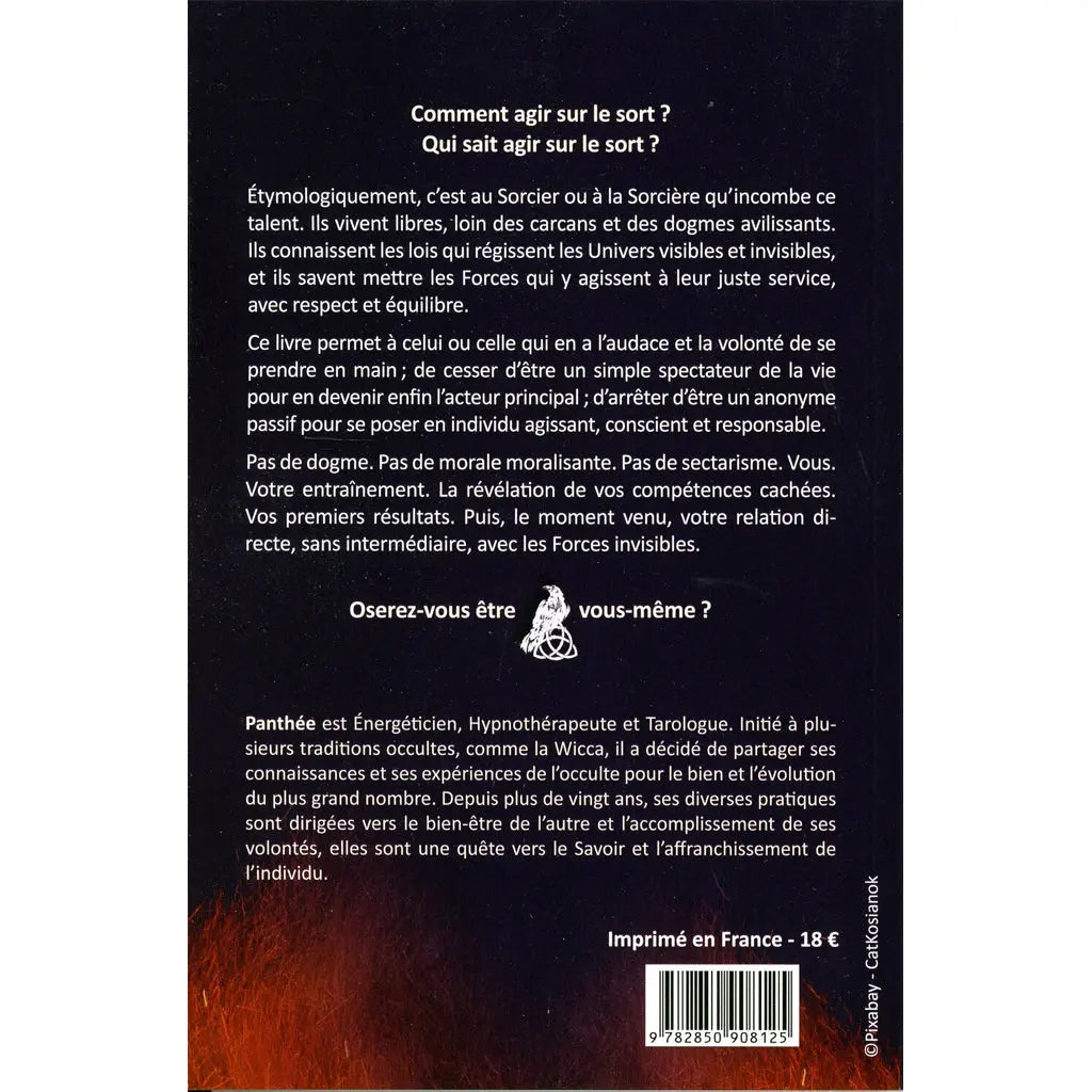 Quatrième de couverture du livre Devenir sorcier Devenir sorcière avec résumé sur l'art d'agir sur le sort.