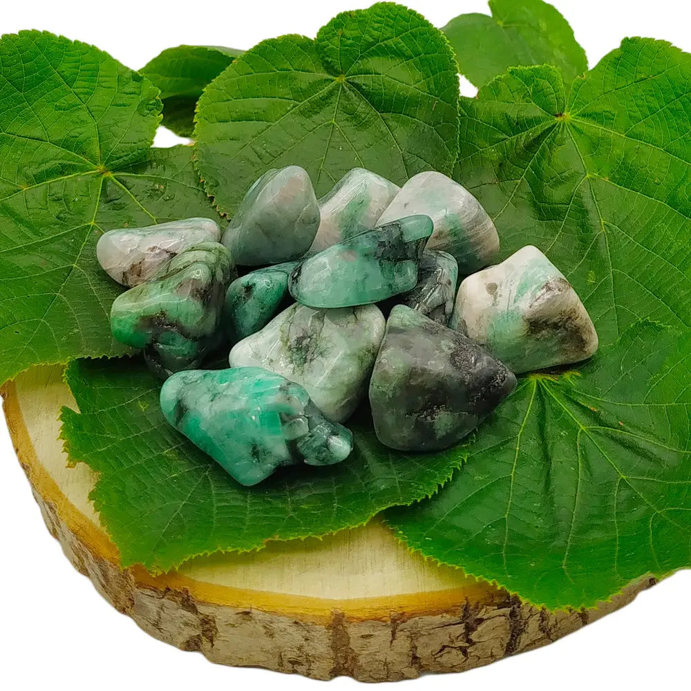 Plusieurs pierres d'émeraude polies, aux nuances vert forêt et gris veiné, disposées sur des feuilles vertes posées sur une rondelle de bois.