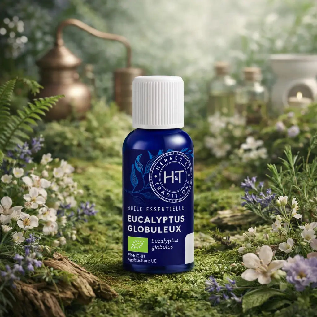 Flacon en verre bleu Herbes et Traditions - Huile Essentielle - Eucalyptus Globuleux Bio entouré de feuilles d'eucalyptus et de nature verdoyante.