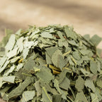 Feuilles d’eucalyptus séchées vert pâle en copeaux pour fumigation en vrac sur surface en bois.