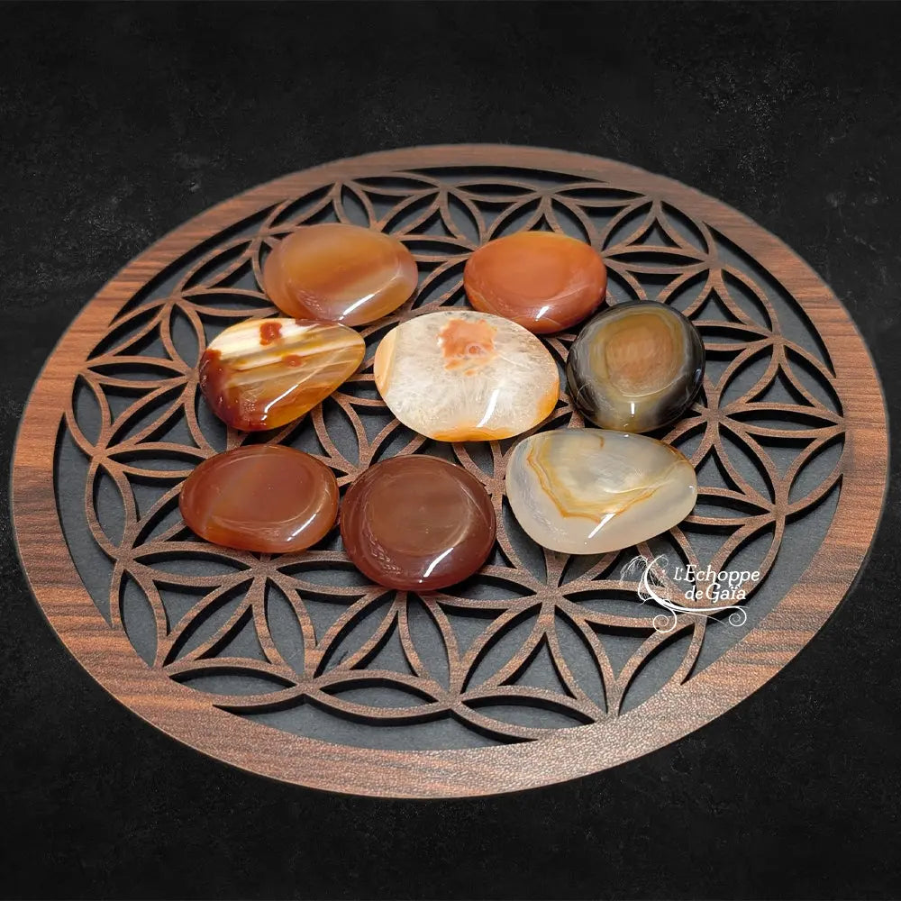 Une collection de galets de cornaline polis, aux motifs et nuances variés (orangé, rouge, translucide), disposés sur une fleur de vie en bois sculpté.