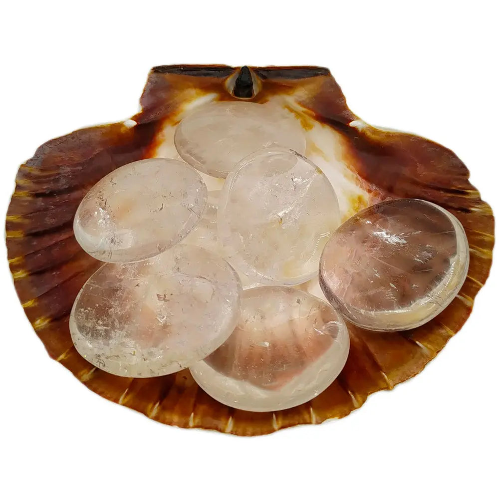 Six galets cristal de roche translucides déposés dans une coquille Saint-Jacques naturelle brune.