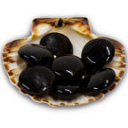 Galets de tourmaline noire polis présentés dans une coquille Saint-Jacques sur fond blanc.