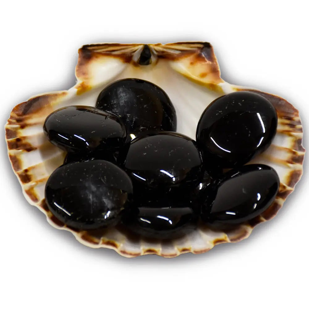 Galets de tourmaline noire polis présentés dans une coquille Saint-Jacques sur fond blanc.