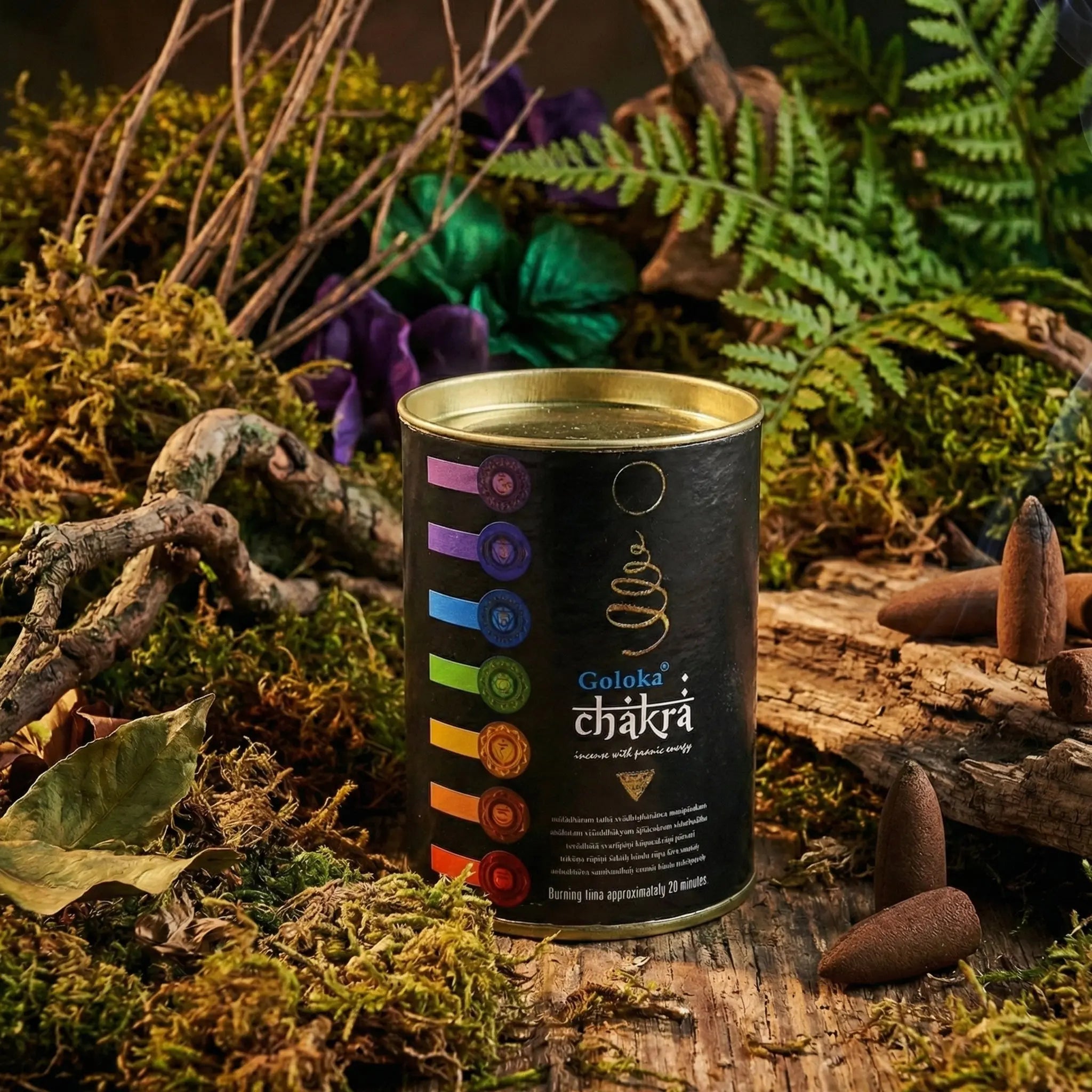 Boîte noire d’encens Goloka Chakra sur bois, entourée de mousse, fougères et cônes d’encens bruns
