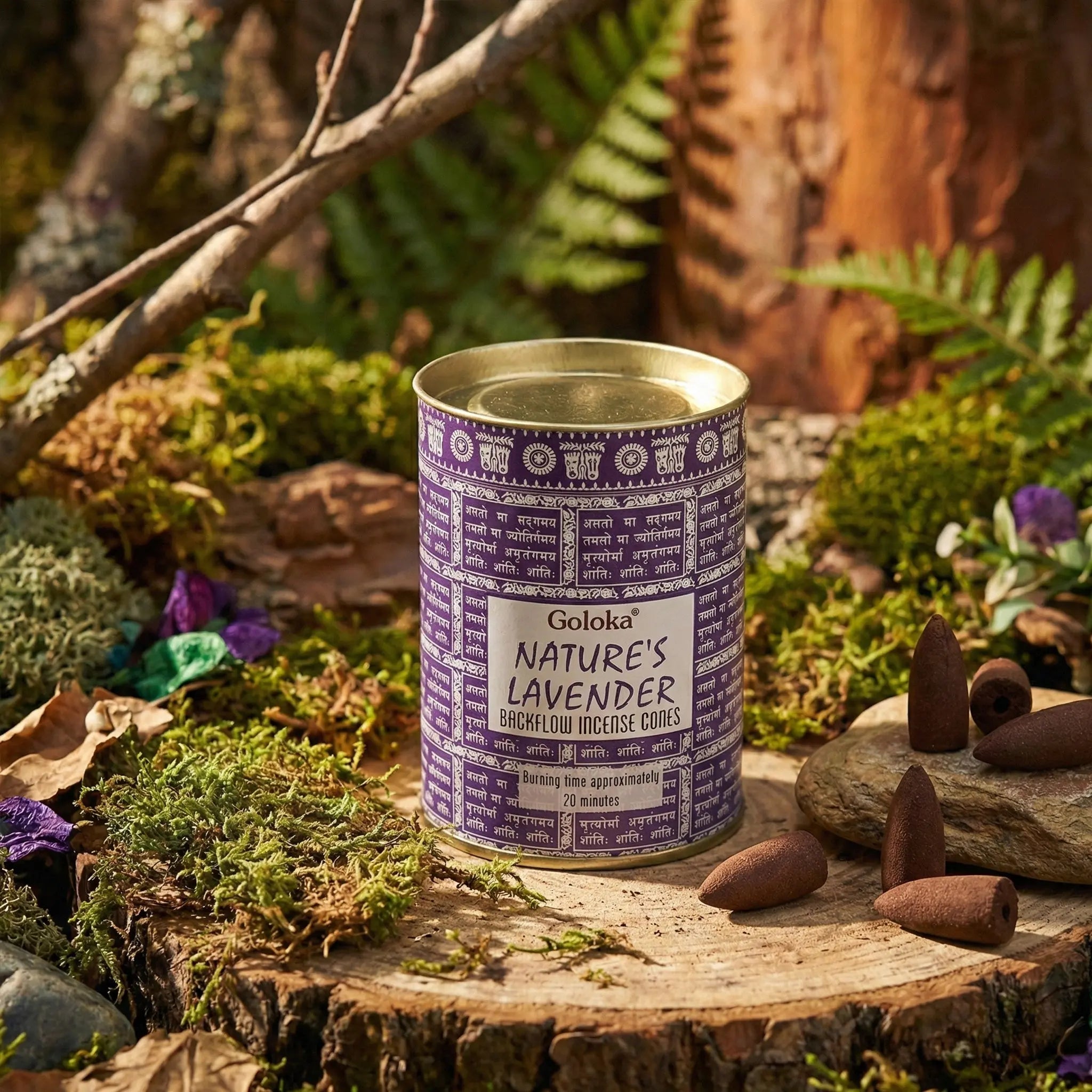 Boîte cylindrique Goloka Nature’s Lavender pour cônes backflow, emballage violet avec écritures, couvercle doré, cônes d’encens bruns au premier plan.