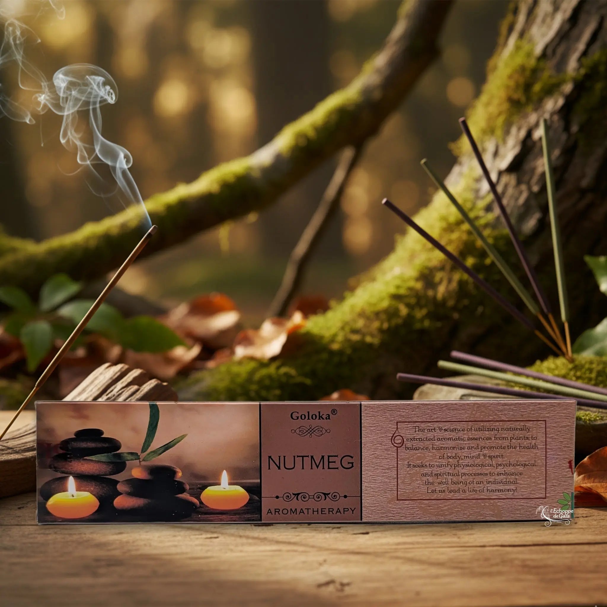 Boîte d’encens Goloka « Nutmeg » (aromatherapy) posée sur une table en bois, avec un bâtonnet allumé et de la fumée, sur fond de forêt moussue.