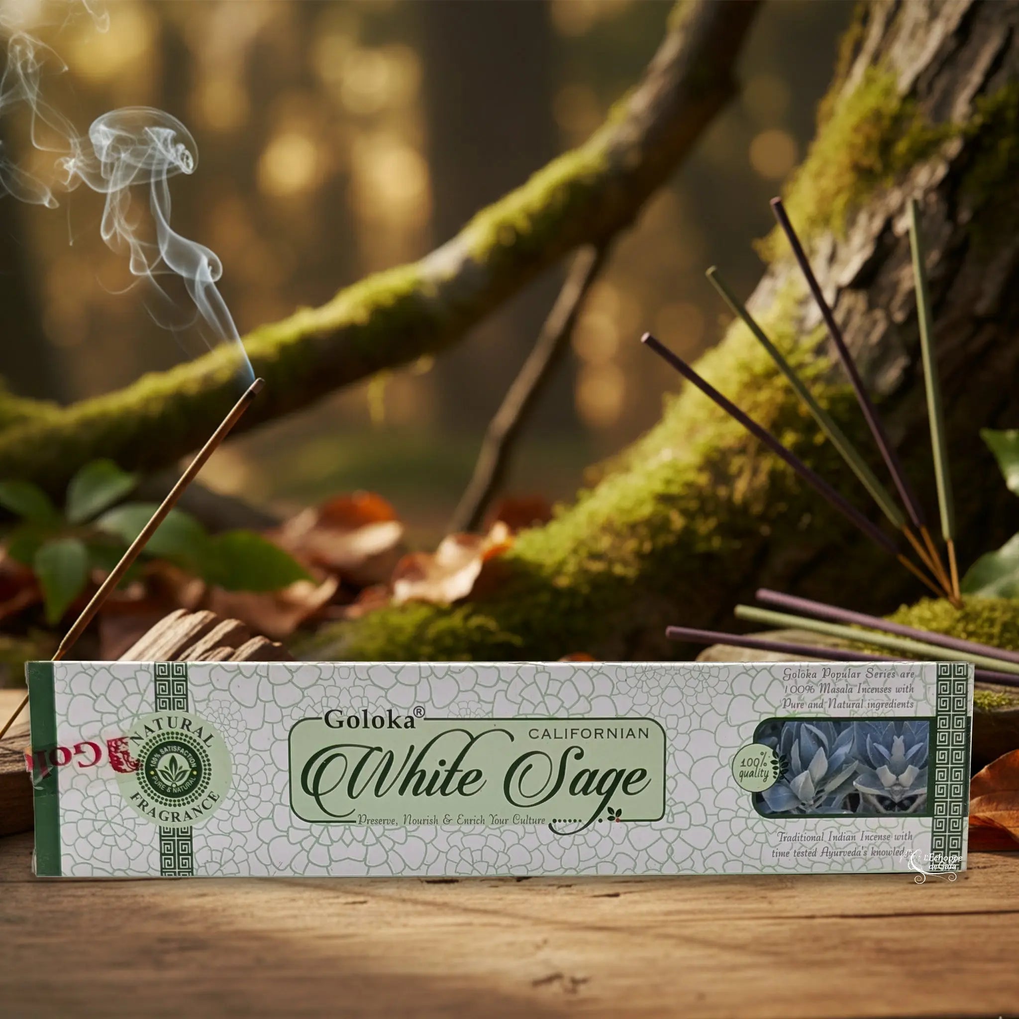 Boîte d’encens Goloka « White Sage » posée sur une table en bois, avec un bâtonnet allumé et de la fumée, sur fond de forêt moussue.