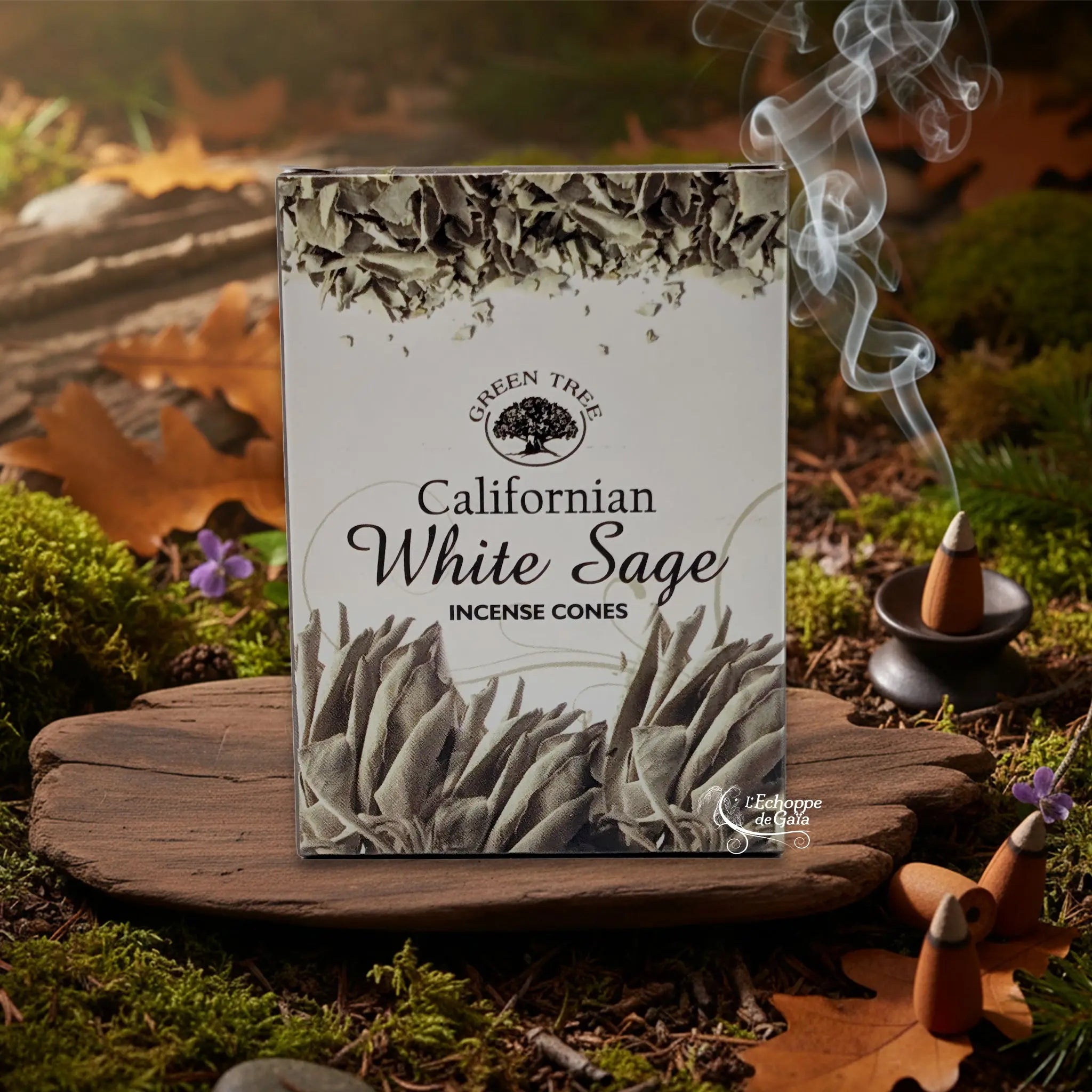 Boîte d’encens en cônes « Californian White Sage » Green Tree posée sur une planche de bois en décor de sous-bois, avec cône fumant sur porte-encens à droite.