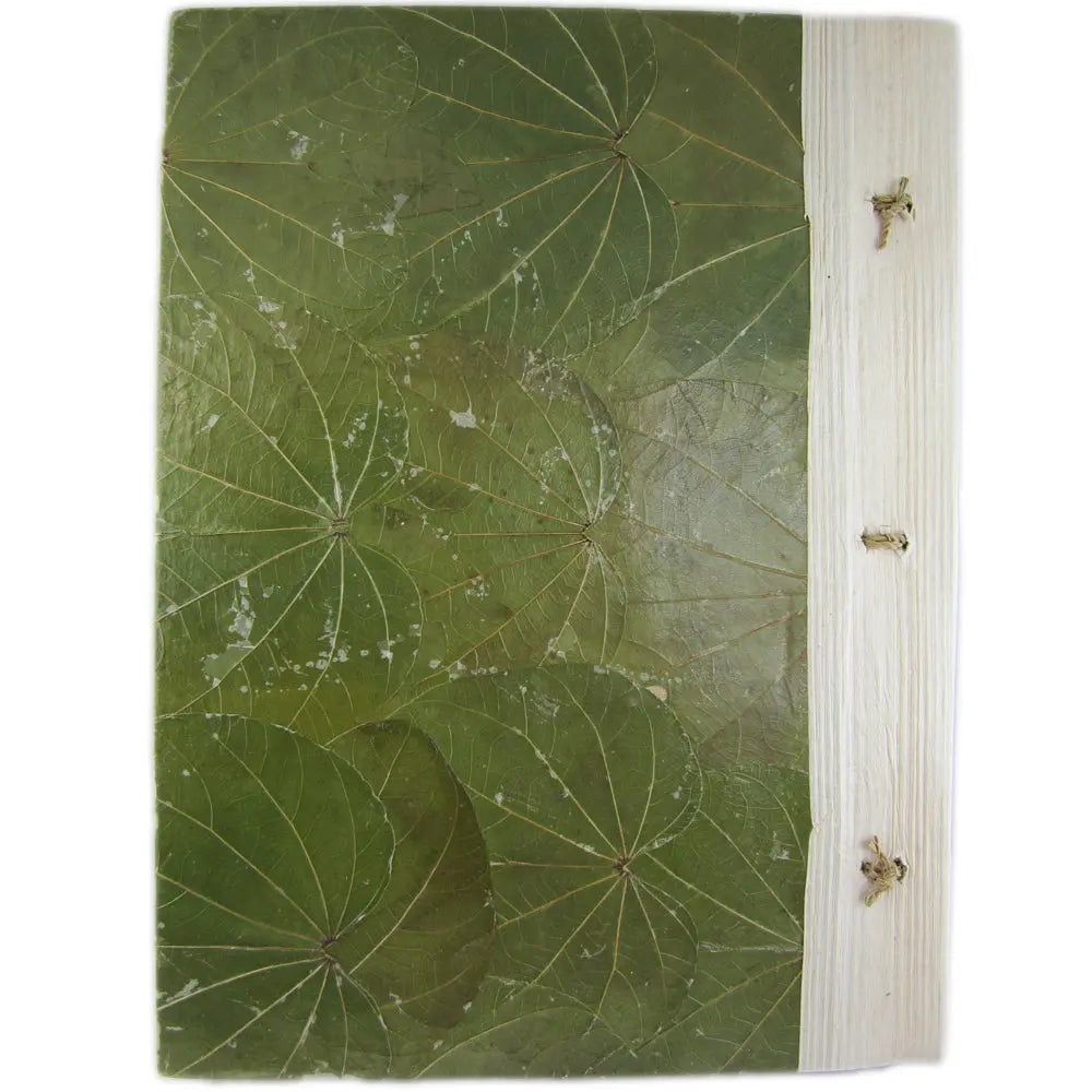 La vue arrière d'un carnet grimoire artisanal fabriqué avec des feuilles naturelles vertes et une reliure végétale blanche cousue de petits nœuds en cordelette, sur fond blanc.