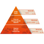 Une pyramide olfactive de la synergie "Fruits des îles", présentant les notes de tête sucrées (Orange, Benjoin), les notes de cœur acidulées (Citron vert, Mandarine) et les notes de fond fleuries (Palmarosa, Géranium rosat).