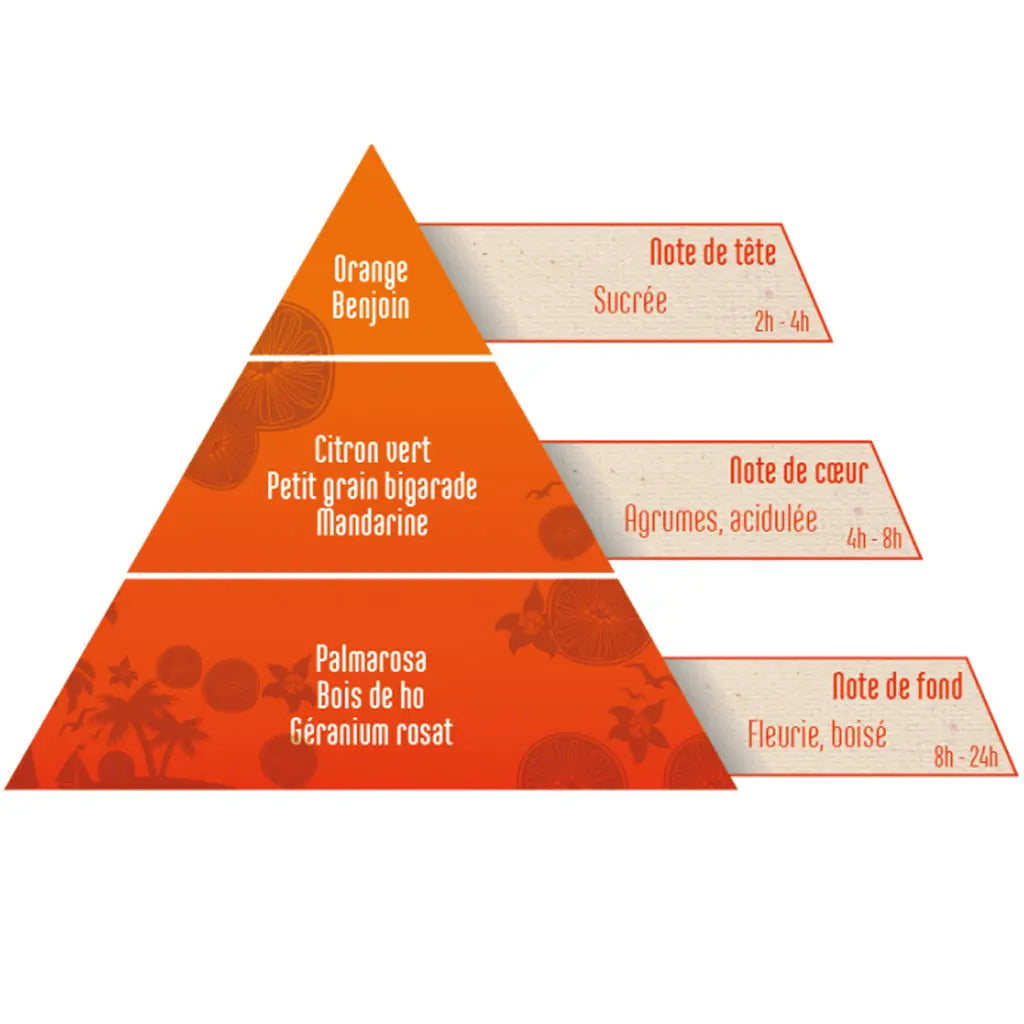 Une pyramide olfactive de la synergie "Fruits des îles", présentant les notes de tête sucrées (Orange, Benjoin), les notes de cœur acidulées (Citron vert, Mandarine) et les notes de fond fleuries (Palmarosa, Géranium rosat).