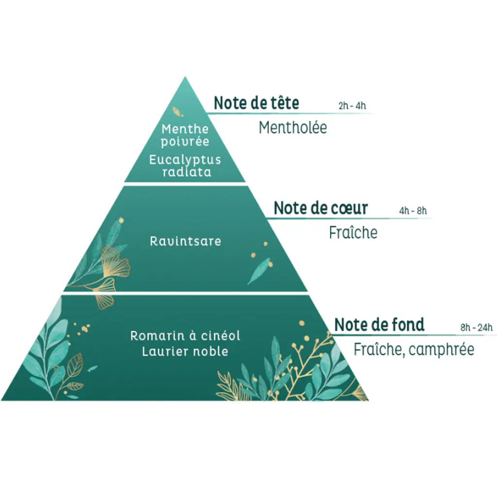 Une infographie en forme de pyramide olfactive détaillant la composition du mélange « Respiration », structurée en notes de tête (menthe poivrée, eucalyptus radiata), de cœur (ravintsare) et de fond (romarin à cinéole, laurier noble).