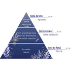 Une infographie en forme de pyramide olfactive détaillant la composition du mélange « Sommeil », structurée en notes de tête (orange douce, mandarine rouge), de cœur (petit grain bigarade, lédon de Groenland, camomille romaine) et de fond (lavande, néroli).