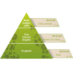 Une infographie en forme de pyramide olfactive détaillant la composition du mélange « Zeste de fraîcheur », structurée en notes de tête (menthe, eucalyptus), de cœur (agrumes) et de fond (pin sylvestre).