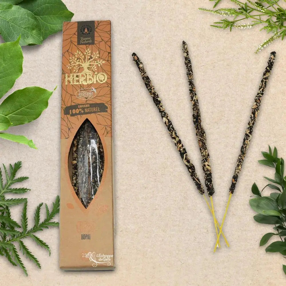 Boîte d'encens Herbio Copal naturel marron avec trois bâtonnets à tige jaune sur fond beige et feuilles vertes