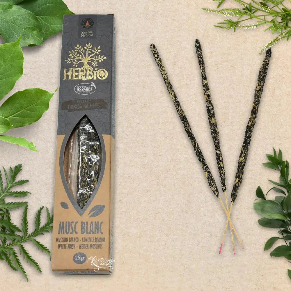 Boîte d'encens Herbio Musc Blanc naturel noire avec trois bâtonnets à tige rose sur fond beige et feuilles vertes