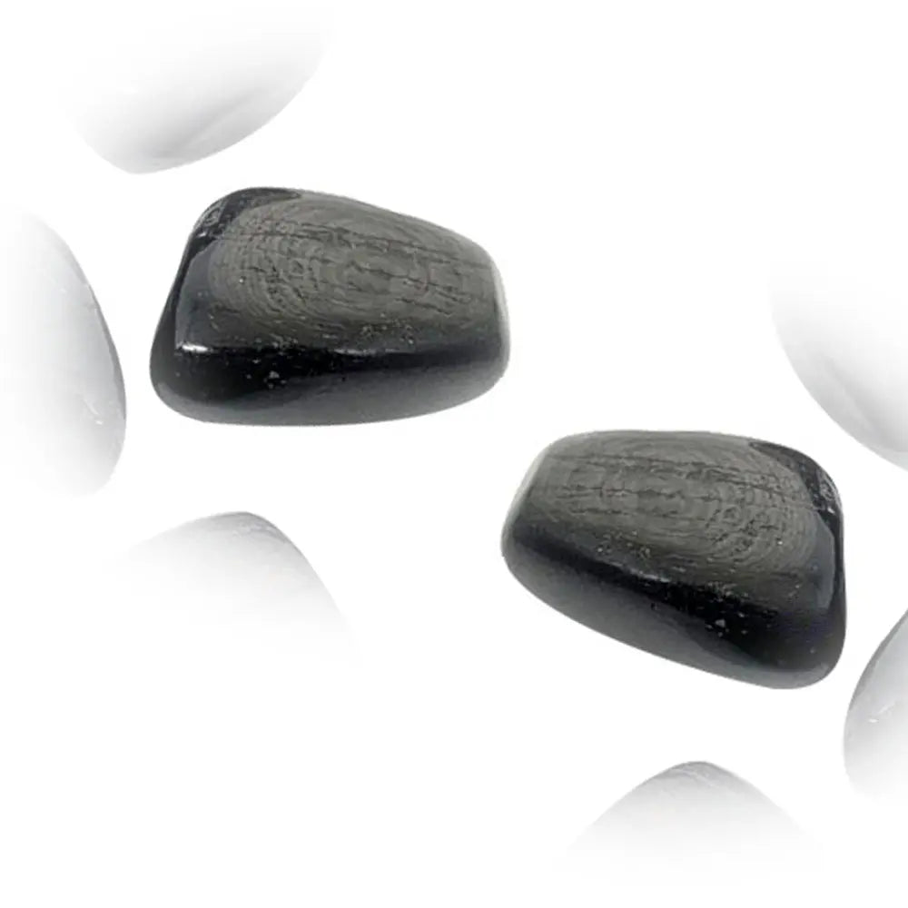 Deux pierres d'hypersthène polies, mettant en évidence des reflets gris argenté et des motifs de croissance concentriques sur une surface noire, présentées sur un fond blanc épuré.