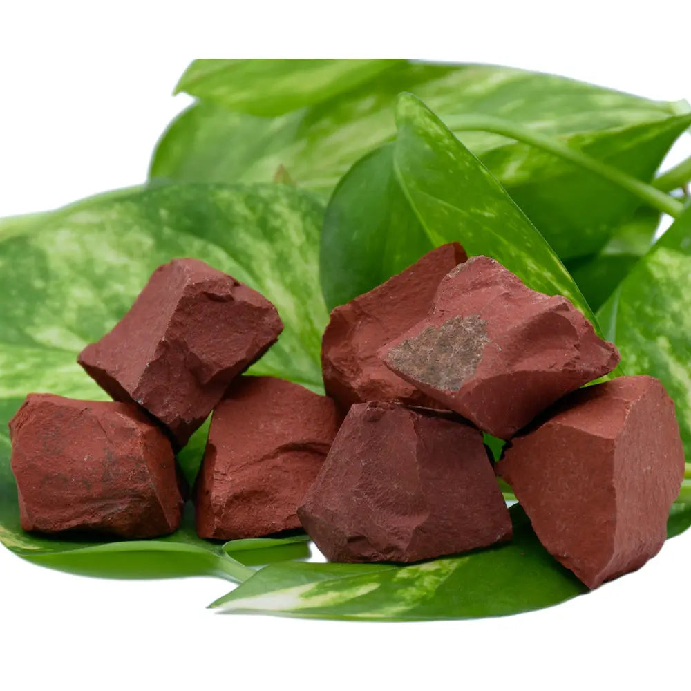 Plusieurs morceaux de jaspe rouge à l'état brut, affichant une couleur rouge brique mate et une texture terreuse, posés sur des feuilles vertes.