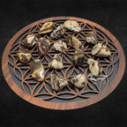 Pierres de jaspe zèbre polies, caractérisées par leurs motifs rubanés bruns et beiges évoquant les rayures d'un animal, disposées sur une fleur de vie en bois.