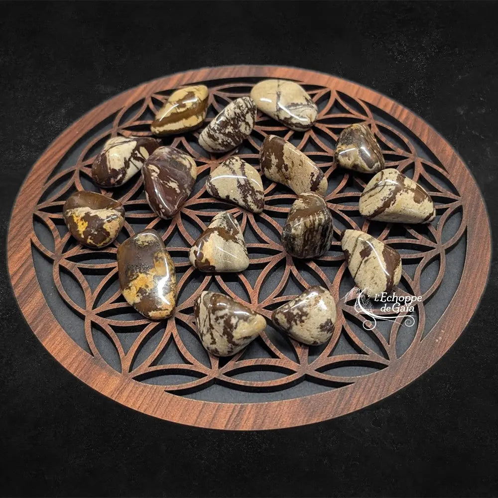 Pierres de jaspe zèbre polies, caractérisées par leurs motifs rubanés bruns et beiges évoquant les rayures d'un animal, disposées sur une fleur de vie en bois.