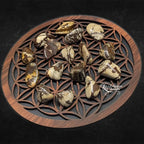 Pierres de jaspe zèbre polies, présentant leurs motifs rubanés caractéristiques dans des tons de brun, crème et beige, disposées sur un support en bois orné d'une fleur de vie.