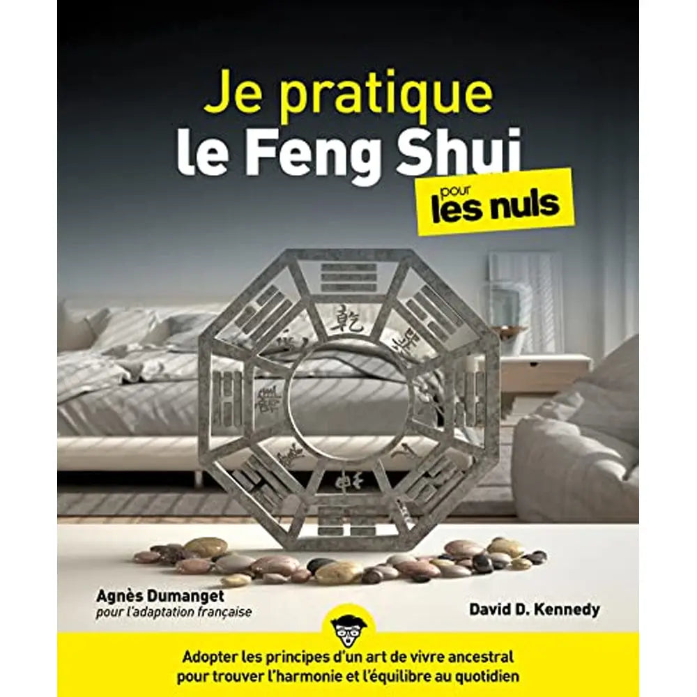 Je Pratique le Feng Shui pour les Nuls - David-Daniel Kennedy First Editions