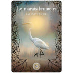 L'Oracle de la Forêt Sacrée - Denise Linn - Cartes oracles - Livre + 52 cartes Editions Exergue