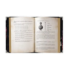 Double page intérieure du livre "L'Art de la Parfumerie Magique" présentant les dosages de la pyramide olfactive et les courbes de tenue des différentes concentrations de parfums.