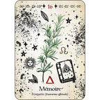 Carte numéro 16 de L'Oracle de la Magie Verte illustrant une branche de romarin associée au thème de la "Mémoire", ornée d'un grimoire, d'un soleil et de divers symboles magiques.