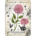 Carte numéro 42 de L'Oracle de la Magie Verte illustrant un dahlia rose associé au thème du "Perfectionnement", ornée de symboles alchimiques et astrologiques.