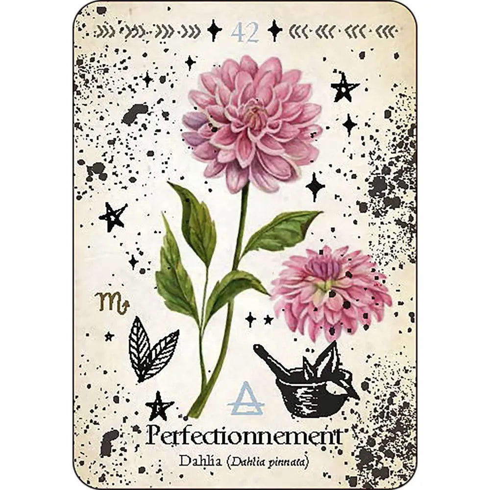 Carte numéro 42 de L'Oracle de la Magie Verte illustrant un dahlia rose associé au thème du "Perfectionnement", ornée de symboles alchimiques et astrologiques.