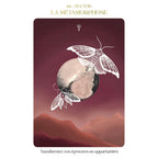 L'Oracle des Gardiennes du Ciel - 51 Cartes Oracle Le Courrier du Livre