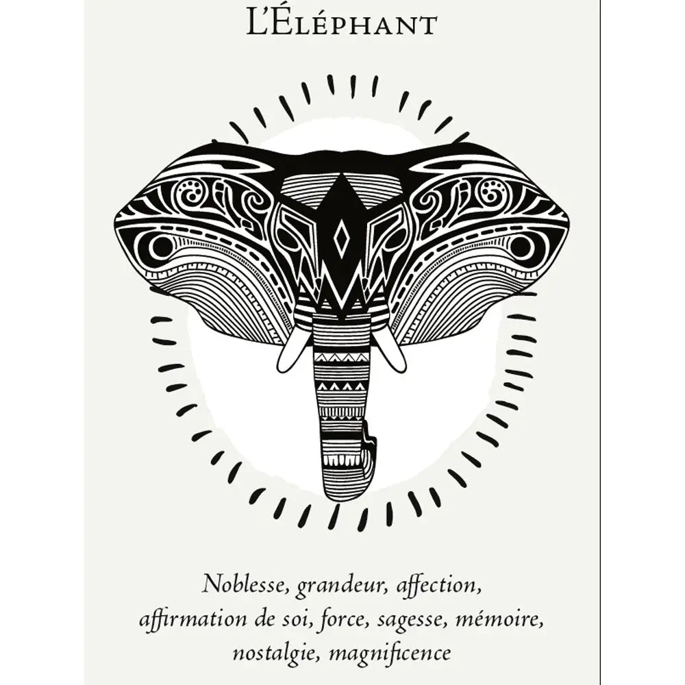 La Boîte du Chaman - Coffret 36 Cartes Editions Vega