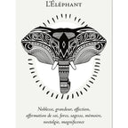 La Boîte du Chaman - Coffret 36 Cartes Editions Vega