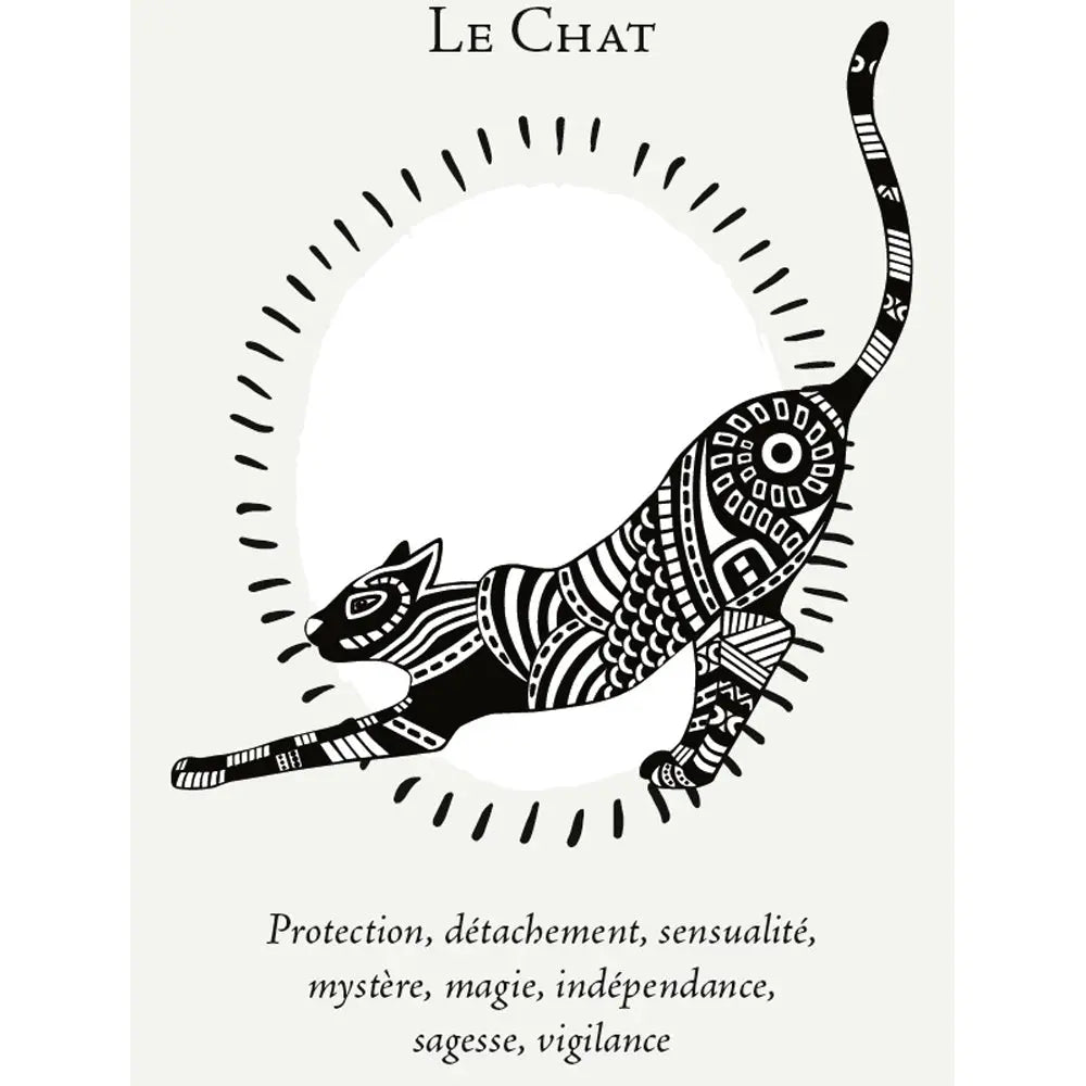 La Boîte du Chaman - Coffret 36 Cartes Editions Vega
