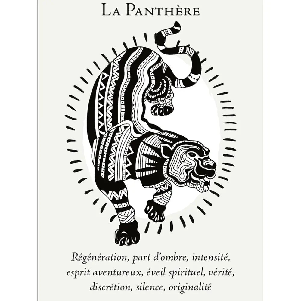 La Boîte du Chaman - Coffret 36 Cartes Editions Vega