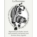 La Boîte du Chaman - Coffret 36 Cartes Editions Vega