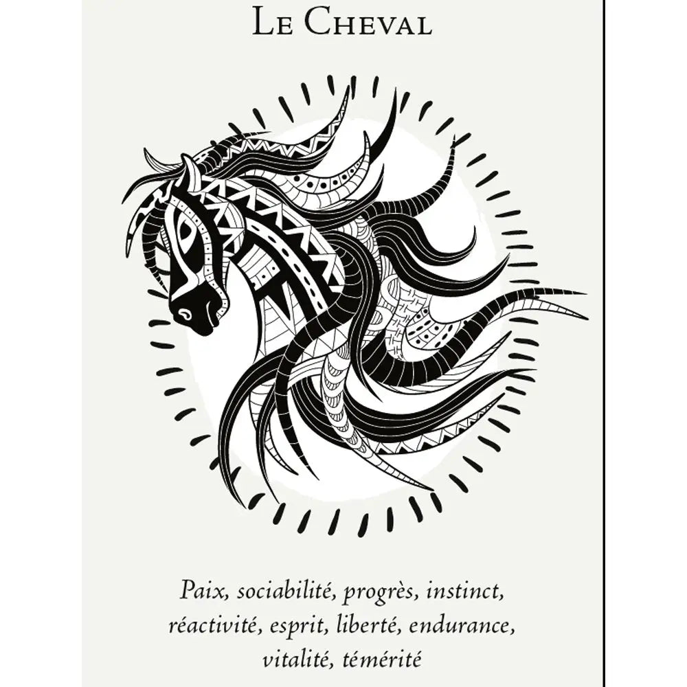 La Boîte du Chaman - Coffret 36 Cartes Editions Vega