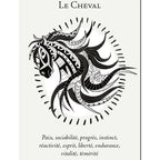 La Boîte du Chaman - Coffret 36 Cartes Editions Vega