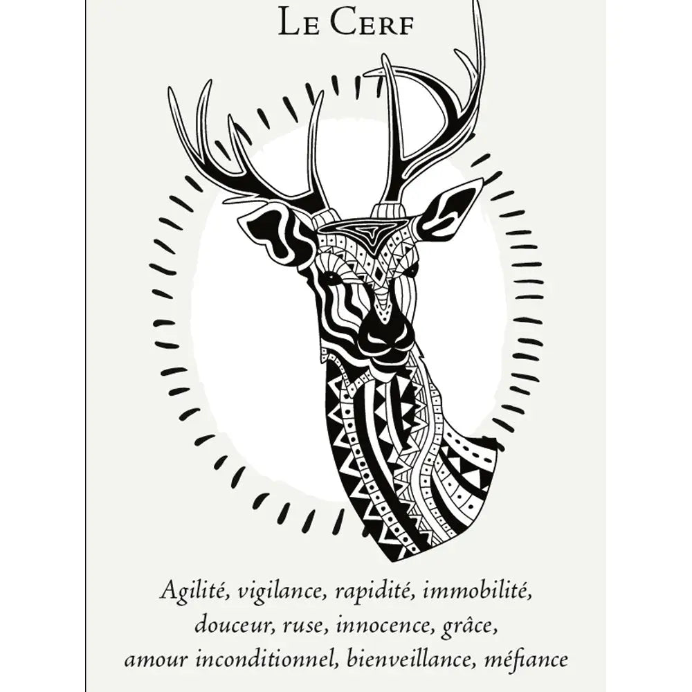 La Boîte du Chaman - Coffret 36 Cartes Editions Vega