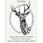 La Boîte du Chaman - Coffret 36 Cartes Editions Vega
