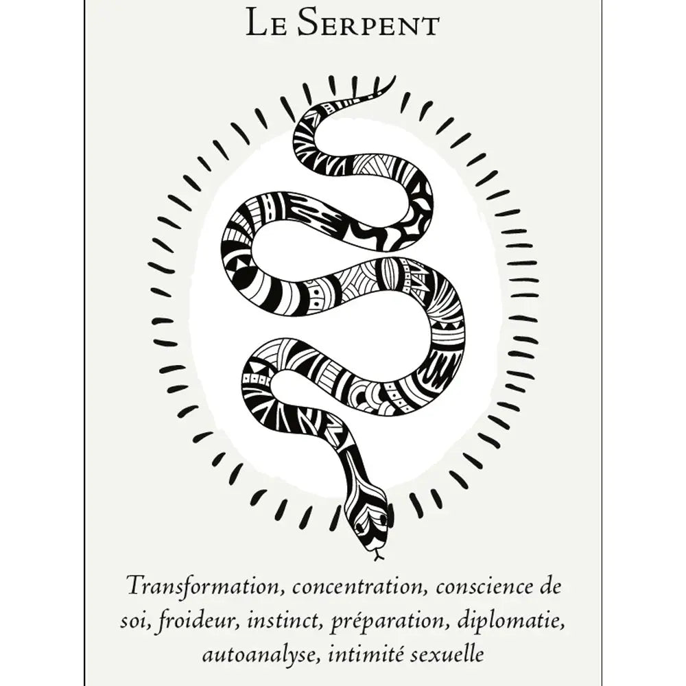 La Boîte du Chaman - Coffret 36 Cartes Editions Vega