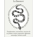 La Boîte du Chaman - Coffret 36 Cartes Editions Vega
