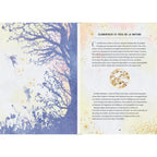 Double page extraite du livre La Magie des Fées, présentant sur la page de gauche l'illustration aux teintes violettes d'un arbre majestueux entouré de délicates silhouettes de fées en vol, et sur la page de droite une section "Élémentaux et fées de la nature" expliquant leur lien avec les quatre éléments, ornée d'un motif circulaire doré, le tout sur un fond délicat aux tons pastel.