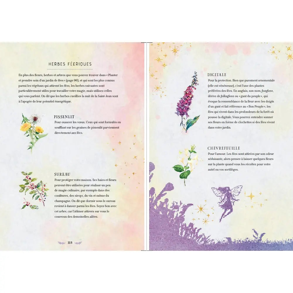 Double page extraite du livre La Magie des Fées, consacrée aux "Herbes féériques" avec des descriptions et illustrations botaniques du pissenlit, du sureau, de la digitale et du chèvrefeuille, agrémentée d'une silhouette violette de fée semant des étoiles sur un fond aux tons pastel.
